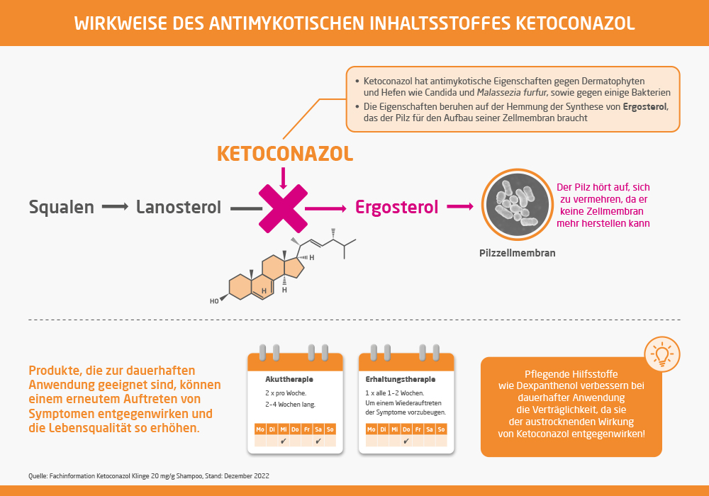 Wirkweise_Ketoconazol bei Schuppen
